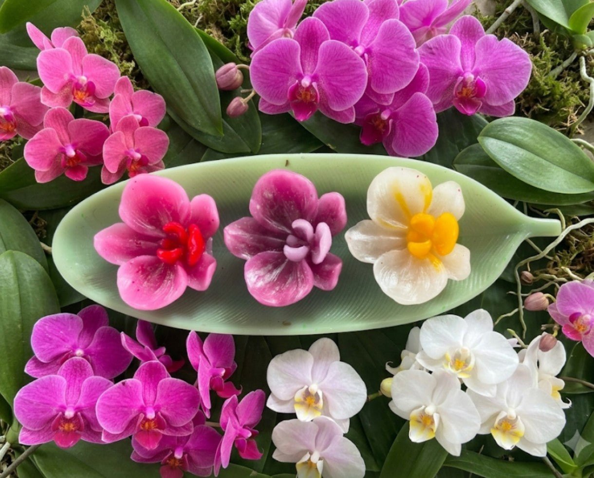 🌺 Orchid Trio Candles in a Leaf Tray - Decorative Candles | Ratna Sagarika Candles