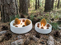 🌲 Pinecone Candle in a Bowl – Rustic Charm - Floral Candles | Ratna Sagarika Candles