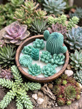🌵 Succulent Garden Candle - Floral Candles | Ratna Sagarika Candles